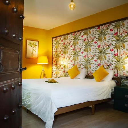 Locura Bed & Breakfast Coin